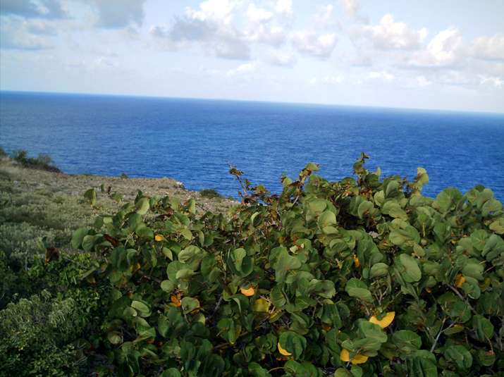 22c - Pointe de la  Grande Vigie 011.jpg